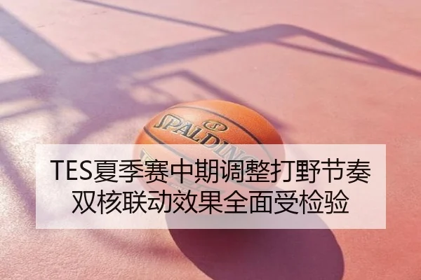 TES夏季赛中期调整打野节奏双核联动效果全面受检验
