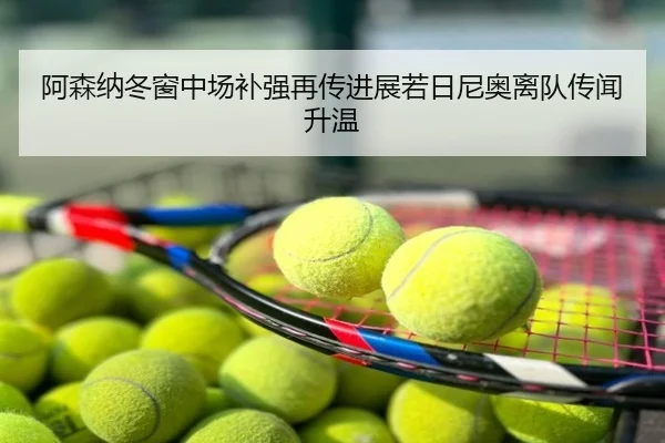 阿森纳冬窗中场补强再传进展若日尼奥离队传闻升温