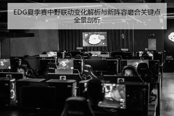 EDG夏季赛中野联动变化解析与新阵容磨合关键点全景剖析